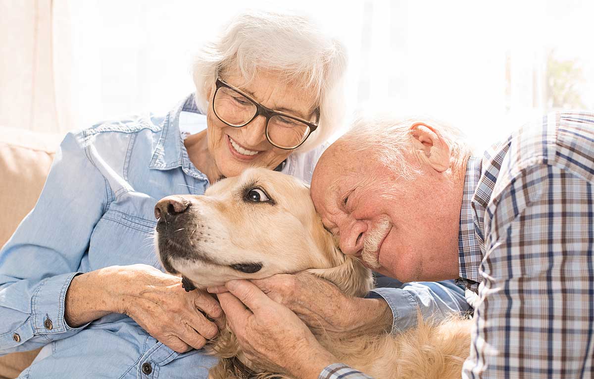 7 Best Dogs For Seniors