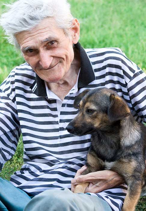 7 Best Dogs for Seniors